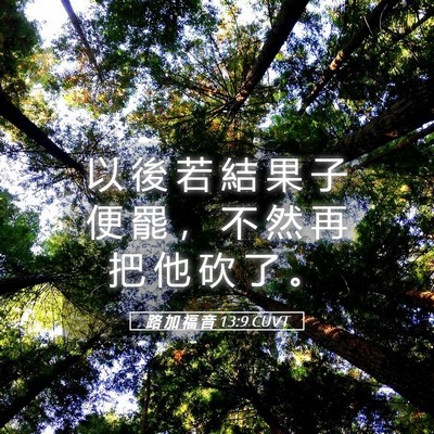 Picture 05 - 路 加 福 音 13:9 CUVT - 以 後 若 結 果 子 便 罷 ， 不 然 再 - Bible Verse Picture