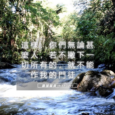 Picture 05 - 路 加 福 音 14:33 CUVT - 這 樣 ， 你 們 無 論 甚 麼 人 ， 若 - Bible Verse Picture
