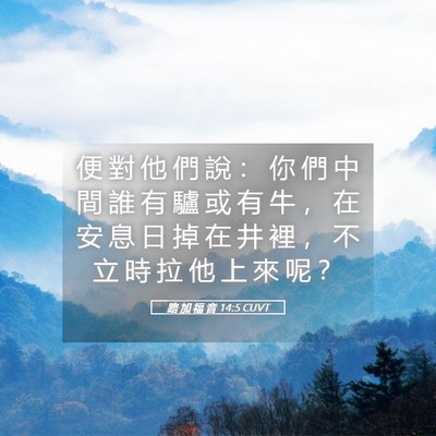 Picture 05 - 路 加 福 音 14:5 CUVT - 便 對 他 們 說 ： 你 們 中 間 誰 有 - Bible Verse Picture