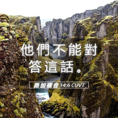 Picture 05 - 路 加 福 音 14:6 CUVT - 他 們 不 能 對 答 這 話 - Bible Verse Picture