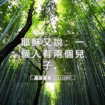 Picture 05 - 路 加 福 音 15:11 CUVT - 耶 穌 又 說 ： 一 個 人 有 兩 個 兒 - Bible Verse Picture