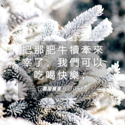 Picture 05 - 路 加 福 音 15:23 CUVT - 把 那 肥 牛 犢 牽 來 宰 了 ， 我 們 - Bible Verse Picture