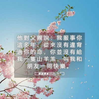 Picture 05 - 路 加 福 音 15:29 CUVT - 他 對 父 親 說 ： 我 服 事 你 這 多 - Bible Verse Picture