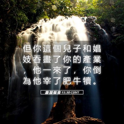 Picture 05 - 路 加 福 音 15:30 CUVT - 但 你 這 個 兒 子 和 娼 妓 吞 盡 了 - Bible Verse Picture