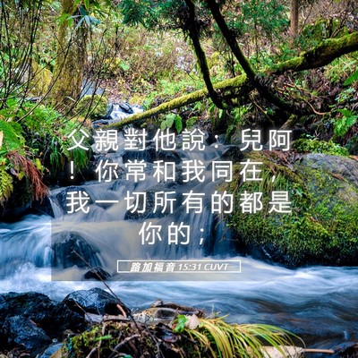 Picture 05 - 路 加 福 音 15:31 CUVT - 父 親 對 他 說 ： 兒 阿 ！ 你 常 和 - Bible Verse Picture