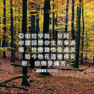 Picture 05 - 路 加 福 音 16:25 CUVT - 亞 伯 拉 罕 說 ： 兒 阿 ， 你 該 回 - Bible Verse Picture