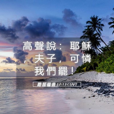 Picture 05 - 路 加 福 音 17:13 CUVT - 高 聲 說 ： 耶 穌 ， 夫 子 ， 可 憐 - Bible Verse Picture