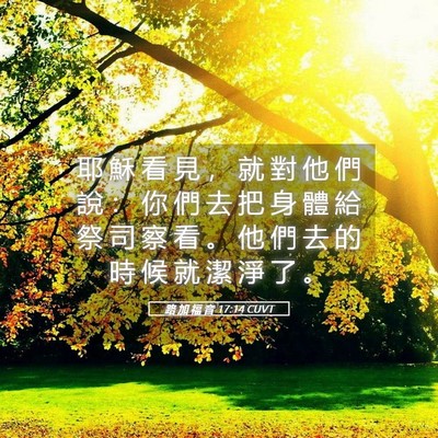 Picture 05 - 路 加 福 音 17:14 CUVT - 耶 穌 看 見 ， 就 對 他 們 說 ： 你 - Bible Verse Picture
