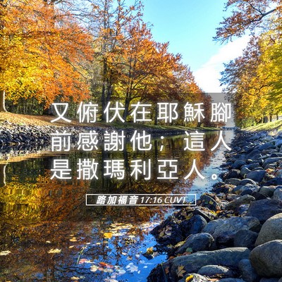 Picture 05 - 路 加 福 音 17:16 CUVT - 又 俯 伏 在 耶 穌 腳 前 感 謝 他 ； - Bible Verse Picture