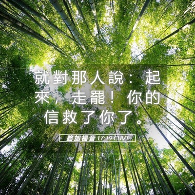 Picture 05 - 路 加 福 音 17:19 CUVT - 就 對 那 人 說 ： 起 來 ， 走 罷 ！ - Bible Verse Picture