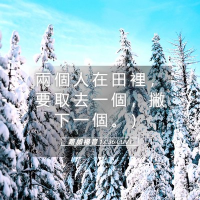 Picture 05 - 路 加 福 音 17:36 CUVT - 兩 個 人 在 田 裡 ， 要 取 去 一 個 - Bible Verse Picture