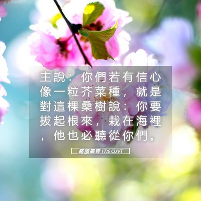 Picture 05 - 路 加 福 音 17:6 CUVT - 主 說 ： 你 們 若 有 信 心 像 一 粒 - Bible Verse Picture