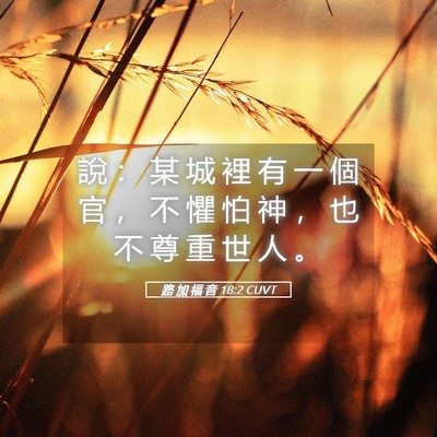 Picture 05 - 路 加 福 音 18:2 CUVT - 說 ： 某 城 裡 有 一 個 官 ， 不 懼 - Bible Verse Picture