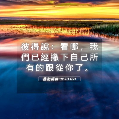 Picture 05 - 路 加 福 音 18:28 CUVT - 彼 得 說 ： 看 哪 ， 我 們 已 經 撇 - Bible Verse Picture