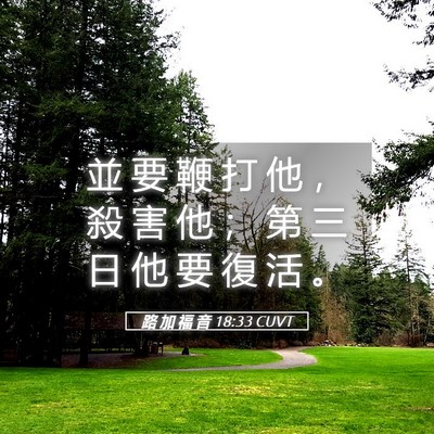 Picture 05 - 路 加 福 音 18:33 CUVT - 並 要 鞭 打 他 ， 殺 害 他 ； 第 三 - Bible Verse Picture