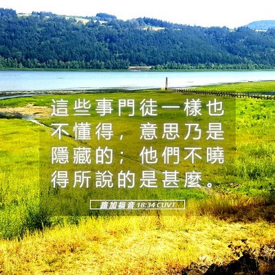 Picture 05 - 路 加 福 音 18:34 CUVT - 這 些 事 門 徒 一 樣 也 不 懂 得 ， - Bible Verse Picture
