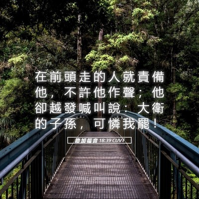 Picture 05 - 路 加 福 音 18:39 CUVT - 在 前 頭 走 的 人 就 責 備 他 ， 不 - Bible Verse Picture