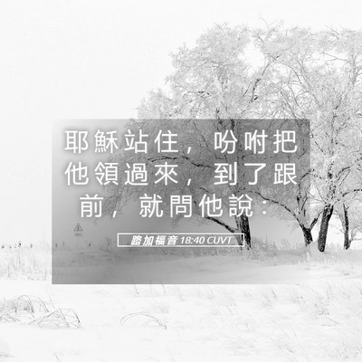 Picture 05 - 路 加 福 音 18:40 CUVT - 耶 穌 站 住 ， 吩 咐 把 他 領 過 來 - Bible Verse Picture