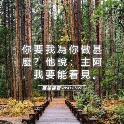 Picture 05 - 路 加 福 音 18:41 CUVT - 你 要 我 為 你 做 甚 麼 ？ 他 說 ： - Bible Verse Picture