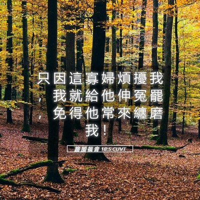 Picture 05 - 路 加 福 音 18:5 CUVT - 只 因 這 寡 婦 煩 擾 我 ， 我 就 給 - Bible Verse Picture