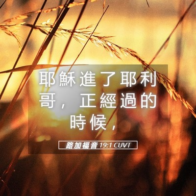 Picture 05 - 路 加 福 音 19:1 CUVT - 耶 穌 進 了 耶 利 哥 ， 正 經 過 的 - Bible Verse Picture