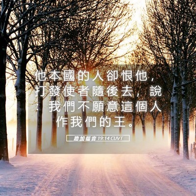 Picture 05 - 路 加 福 音 19:14 CUVT - 他 本 國 的 人 卻 恨 他 ， 打 發 使 - Bible Verse Picture