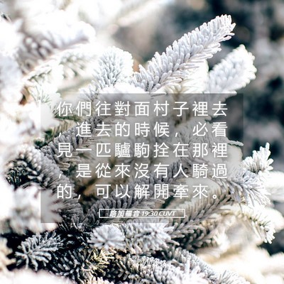 Picture 05 - 路 加 福 音 19:30 CUVT - 你 們 往 對 面 村 子 裡 去 ， 進 去 - Bible Verse Picture