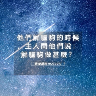 Picture 05 - 路 加 福 音 19:33 CUVT - 他 們 解 驢 駒 的 時 候 ， 主 人 問 - Bible Verse Picture