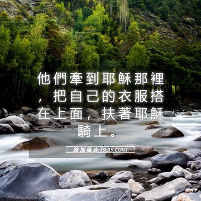 Picture 05 - 路 加 福 音 19:35 CUVT - 他 們 牽 到 耶 穌 那 裡 ， 把 自 己 - Bible Verse Picture