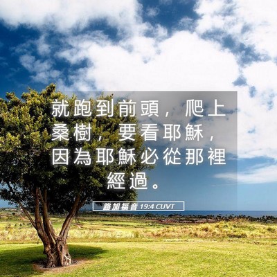 Picture 05 - 路 加 福 音 19:4 CUVT - 就 跑 到 前 頭 ， 爬 上 桑 樹 ， 要 - Bible Verse Picture