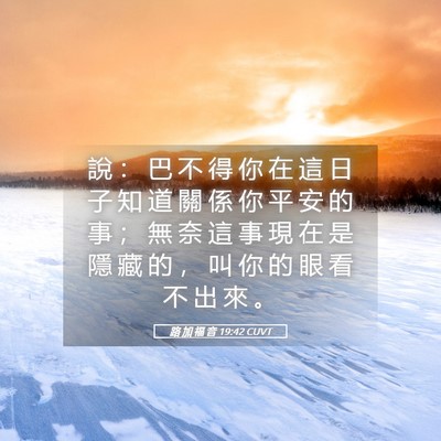 Picture 05 - 路 加 福 音 19:42 CUVT - 說 ： 巴 不 得 你 在 這 日 子 知 道 - Bible Verse Picture
