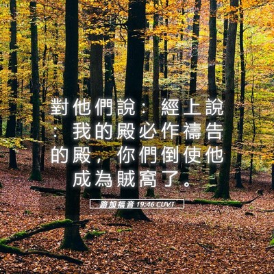 Picture 05 - 路 加 福 音 19:46 CUVT - 對 他 們 說 ： 經 上 說 ： 我 的 殿 - Bible Verse Picture