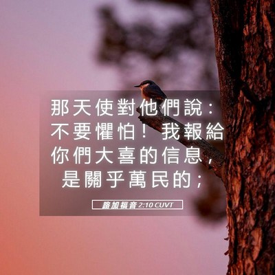 Picture 05 - 路 加 福 音 2:10 CUVT - 那 天 使 對 他 們 說 ： 不 要 懼 怕 - Bible Verse Picture