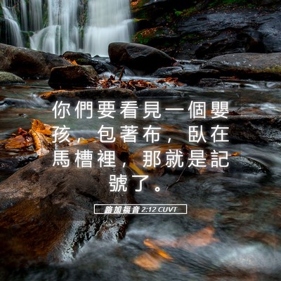 Picture 05 - 路 加 福 音 2:12 CUVT - 你 們 要 看 見 一 個 嬰 孩 ， 包 著 - Bible Verse Picture