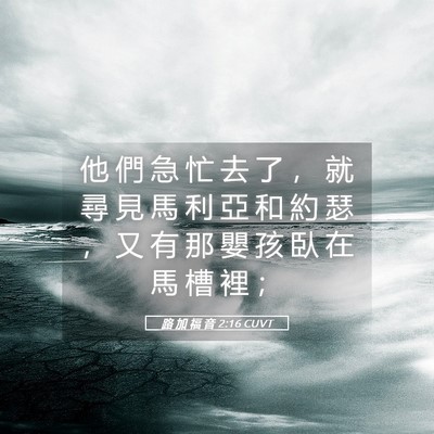 Picture 05 - 路 加 福 音 2:16 CUVT - 他 們 急 忙 去 了 ， 就 尋 見 馬 利 - Bible Verse Picture