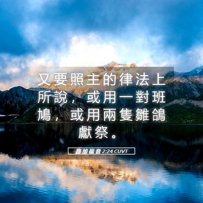 Picture 05 - 路 加 福 音 2:24 CUVT - 又 要 照 主 的 律 法 上 所 說 ， 或 - Bible Verse Picture