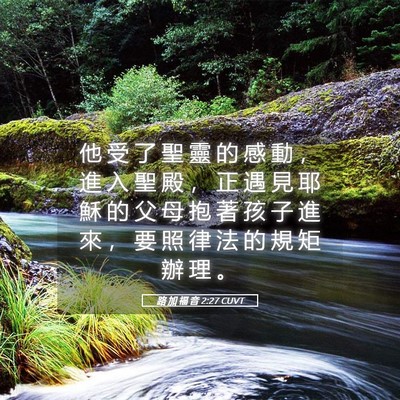 Picture 05 - 路 加 福 音 2:27 CUVT - 他 受 了 聖 靈 的 感 動 ， 進 入 聖 - Bible Verse Picture