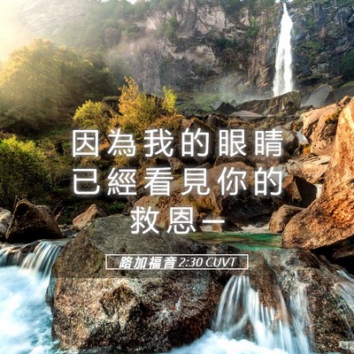 Picture 05 - 路 加 福 音 2:30 CUVT - 因 為 我 的 眼 睛 已 經 看 見 你 的 - Bible Verse Picture