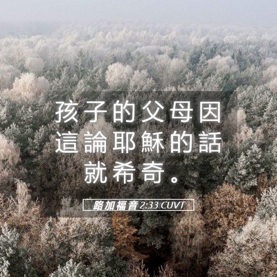 Picture 05 - 路 加 福 音 2:33 CUVT - 孩 子 的 父 母 因 這 論 耶 穌 的 話 - Bible Verse Picture