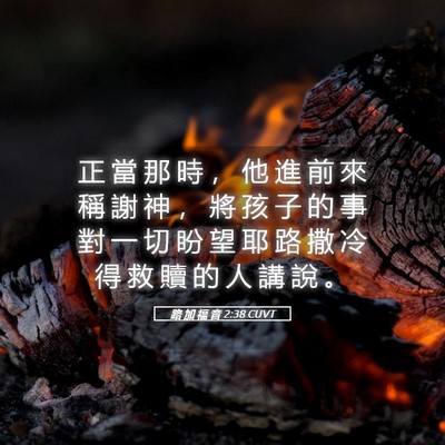 Picture 05 - 路 加 福 音 2:38 CUVT - 正 當 那 時 ， 他 進 前 來 稱 謝 神 - Bible Verse Picture