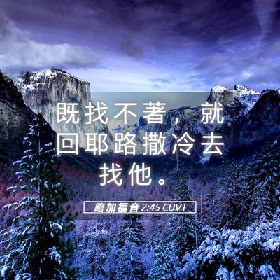 Picture 05 - 路 加 福 音 2:45 CUVT - 既 找 不 著 ， 就 回 耶 路 撒 冷 去 - Bible Verse Picture