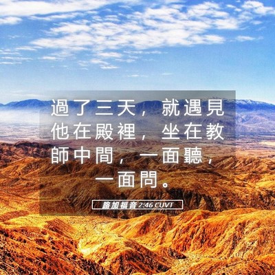 Picture 05 - 路 加 福 音 2:46 CUVT - 過 了 三 天 ， 就 遇 見 他 在 殿 裡 - Bible Verse Picture