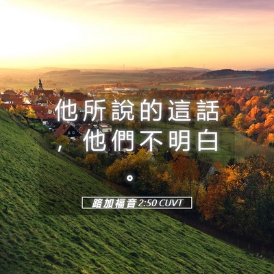 Picture 05 - 路 加 福 音 2:50 CUVT - 他 所 說 的 這 話 ， 他 們 不 明 白 - Bible Verse Picture