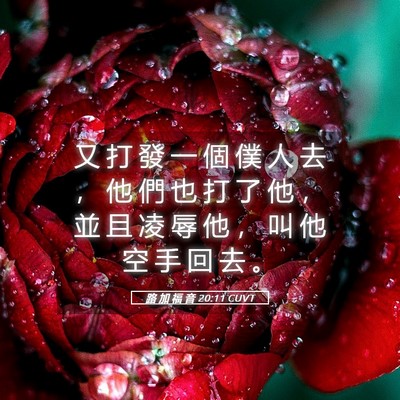 Picture 05 - 路 加 福 音 20:11 CUVT - 又 打 發 一 個 僕 人 去 ， 他 們 也 - Bible Verse Picture