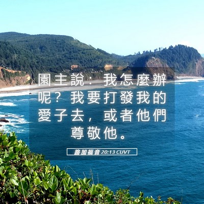 Picture 05 - 路 加 福 音 20:13 CUVT - 園 主 說 ： 我 怎 麼 辦 呢 ？ 我 要 - Bible Verse Picture