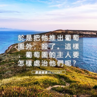 Picture 05 - 路 加 福 音 20:15 CUVT - 於 是 把 他 推 出 葡 萄 園 外 ， 殺 - Bible Verse Picture