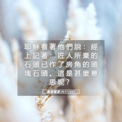 Picture 05 - 路 加 福 音 20:17 CUVT - 耶 穌 看 著 他 們 說 ： 經 上 記 著 - Bible Verse Picture