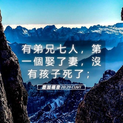 Picture 05 - 路 加 福 音 20:29 CUVT - 有 弟 兄 七 人 ， 第 一 個 娶 了 妻 - Bible Verse Picture