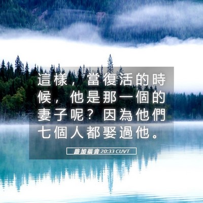 Picture 05 - 路 加 福 音 20:33 CUVT - 這 樣 ， 當 復 活 的 時 候 ， 他 是 - Bible Verse Picture