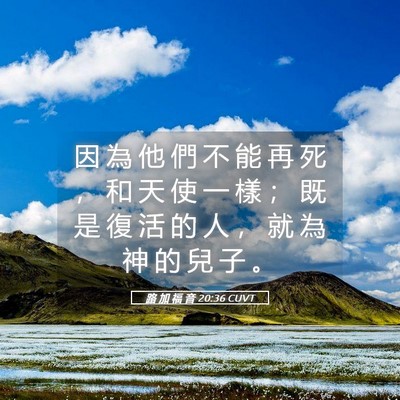 Picture 05 - 路 加 福 音 20:36 CUVT - 因 為 他 們 不 能 再 死 ， 和 天 使 - Bible Verse Picture